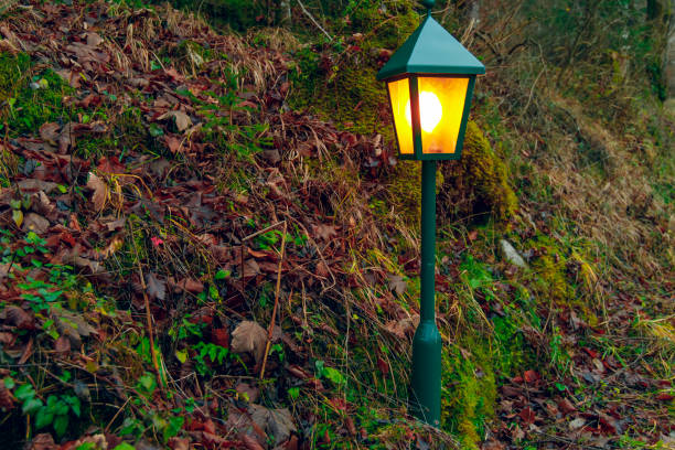 istock forest lantern yellow lighting landscaping object for tourists fairy tale scenic view imagination 1226738954