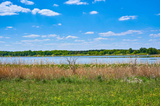 istock Blue and cloudy sky over a lake. 1226739230
