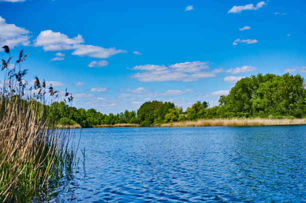 istock Blue and cloudy sky over a lake. 1226739342