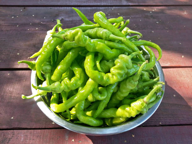 istock Green thin wrinkled peppers variety Cigarella in bowl 1226746253