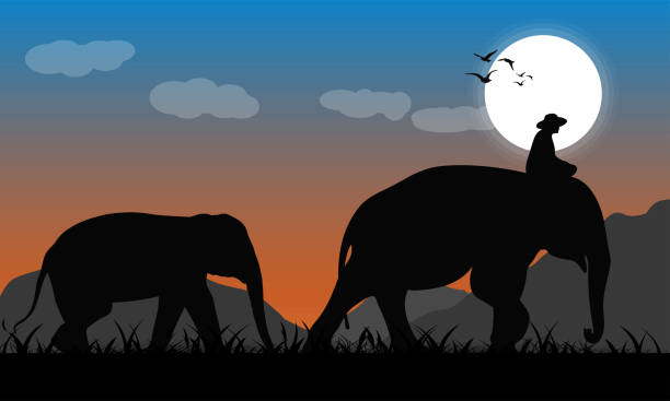 istock silhouette image Black elephant with Elephant mahout walking at the forest with mountain and Moon background Evening light vector Illustration 1226746306