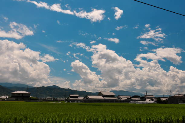 istock Large cumulonimbus 1226747304