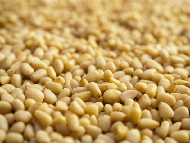 istock Pine nuts background. Unshelled cedar seeds, closeup 1226747380