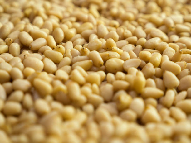 istock Pine nuts background. Unshelled cedar seeds, closeup 1226747415