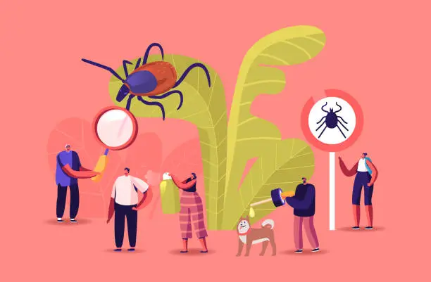Vector illustration of Encephalitis Mite, Tick Bite Protection Concept. Characters Search Dangerous Insect. Mite Hid on Plant Leaf, People Spraying Insect Repellent on Skin and Dog Outdoor. Cartoon Vector Illustration
