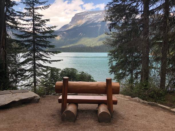 istock Best view in the world 1226750841