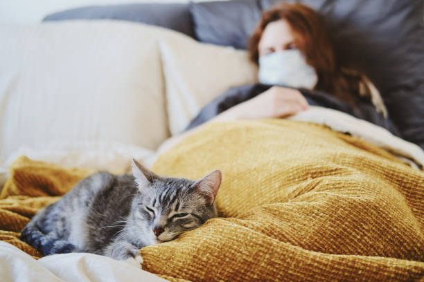 la femme rousse dans le masque médical malade avec le coronavirus et le chat sont couchés sur le lit. - illness domestic cat headache animal photos et images de collection