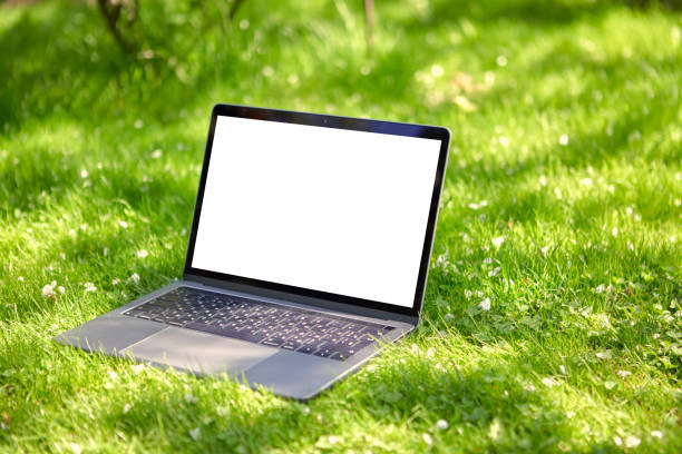 um laptop aberto está deitado na grama, ou gramado, no jardim, com uma tela vazia. - laptop computer grass nature - fotografias e filmes do acervo