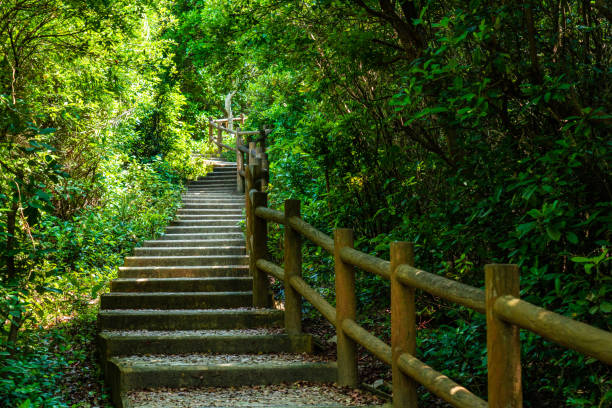 sendero de senderismo en grass-island, hong kong - clear sky hong kong island hong kong china fotografías e imágenes de stock