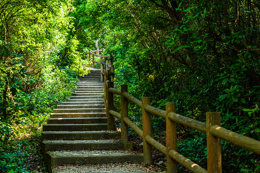 Hiking trail in Grass-Island, Hong Kong