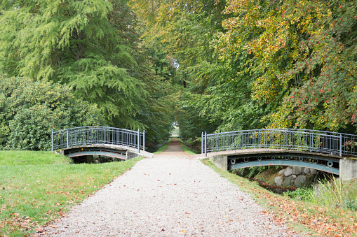 Two Path Bridge Path Between Two Bridges In A Park Stock Photo - Download Image Now ...
