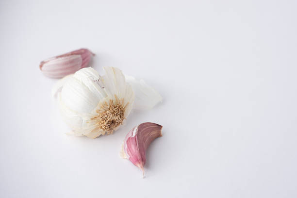 Bub Def 260+ Por Bub fotos de stock, imagens e fotos royalty-free - iStock