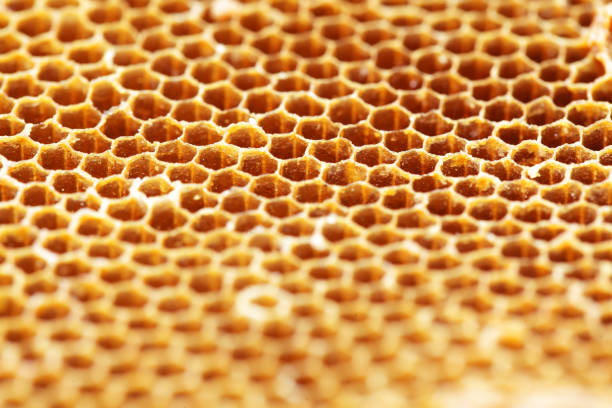 istock close up golden texture of bee hive background 1226763086