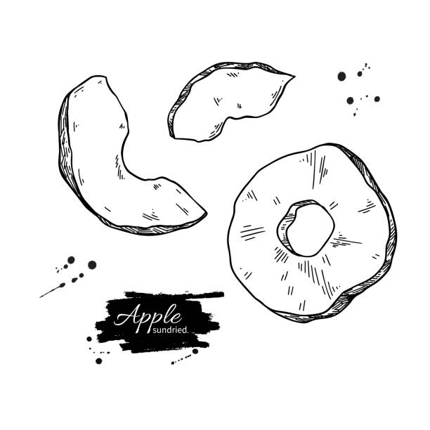 ilustrações de stock, clip art, desenhos animados e ícones de dried apple chips vector drawing. hand drawn dehydrated fruit ring and slices. - dried apple