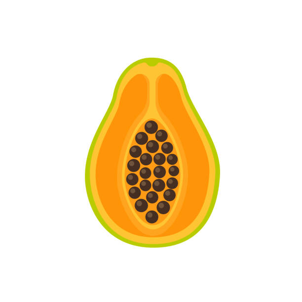 Papaya In Cut Half Fruit Flat Design Stock Illustration - Download Image Now - Pawpaw Tree, Cartoon, Flat Design - iStock Papaya In Cut Half Fruit Flat Design Stock Illustration - Download Image Now - Pawpaw Tree, Cartoon, Flat Design - iStock