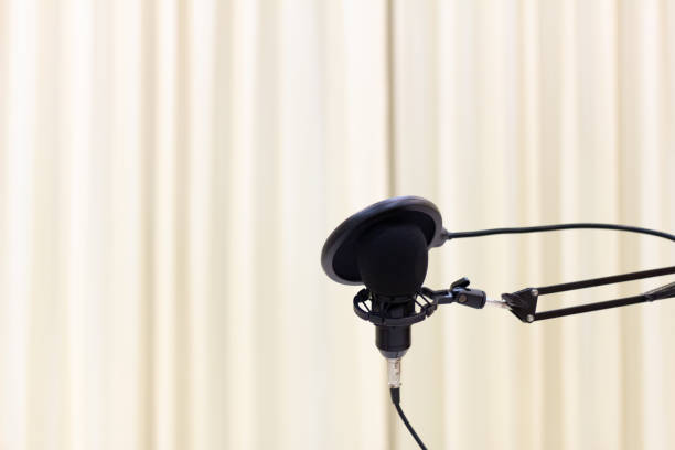 istock Close-up black microphone with stand and blurred background 1226777550