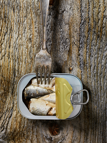 Tin of Sardines