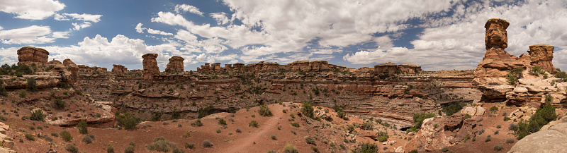 Panoramic view in Canyonlands Needles District - Big Springs Canyon Overlook, Utah, United States