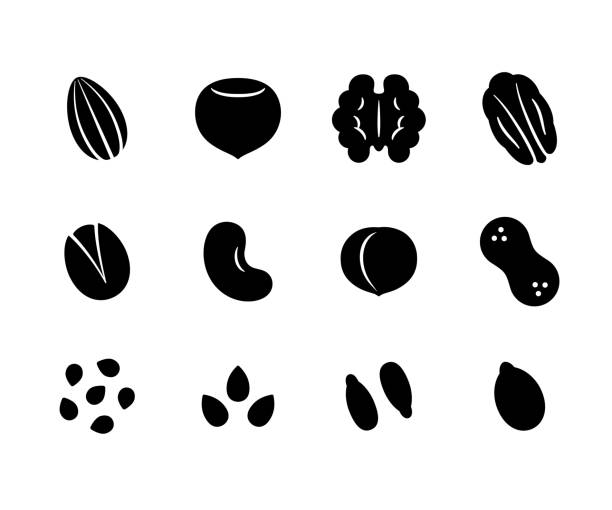 Nuts and seeds icons Nuts and seeds icon set. Solid black cartoon style icons, isolated vector clip art illustration. pecan icon stock illustrations