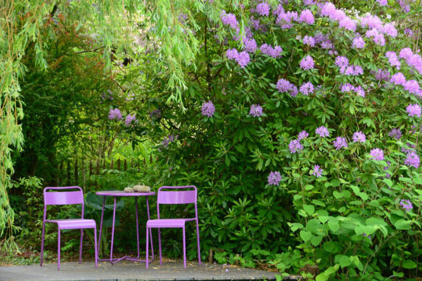 Violet wooden chairs and a table with a bouquet of flowers