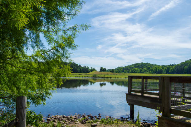 istock Little Mulberry Park, GA Lake View 1226784366