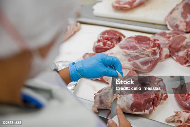Brazils Largest Processed Meat Exporters Stock Photo - Download Image Now - Meat Packing Industry, Factory, Meat