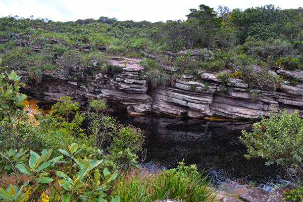 istock Trip to Chapada Diamantina 1226786178