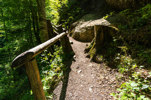 Ostertaltobel in the Gunzesried valley