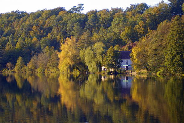 Wetland ecological environment