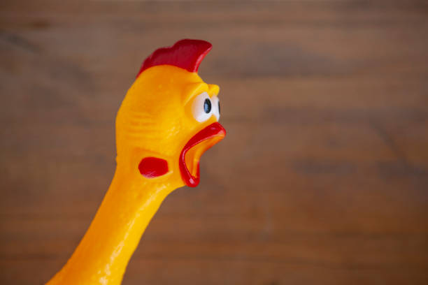 istock image of toy rubber chicken 1226788920