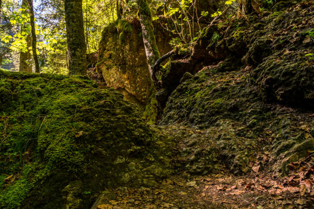 istock Ostertaltobel in the Gunzesried valley 1226788929