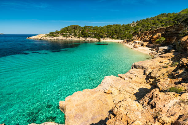 istock ibiza beach. Cala Saladeta beach. 1226788998