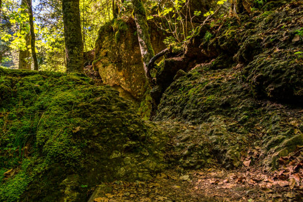Ostertaltobel in the Gunzesried valley
