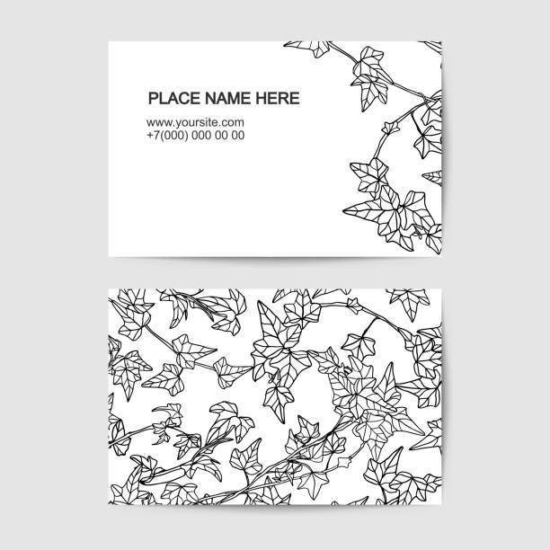 visit card template with ivy. Black and white visit card vector template with ivy. Black and white linear pattern ivy leaf stock illustrations