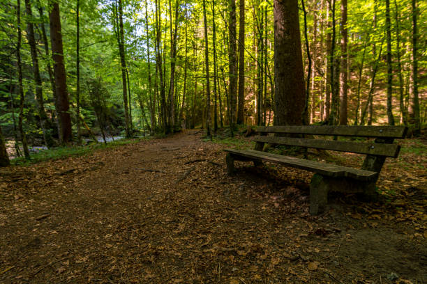 istock Ostertaltobel in the Gunzesried valley 1226790430