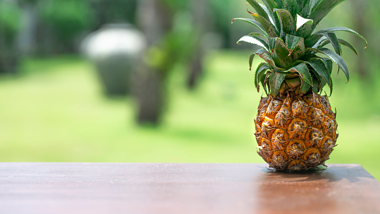 Tropical small pineapple on a wooden table. Close-up, space for text.