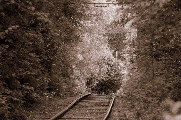 istock Old tram tracks running through a park 1226795112