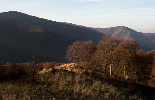 Autumn in Carpathian mountains, Ukraine