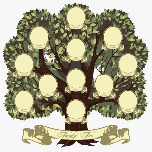 Cartoon genealogical family tree with lettering inscription vector graphic illustration Cartoon genealogical family tree with lettering inscription vector graphic illustration. Colorful relatives chart on green vegetation brunch and trunk vintage style isolated on white background family tree chart template stock illustrations