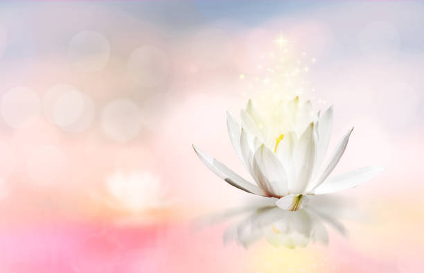 istock Lotus floating on water with glitter sparkle light and soft blur bokeh reflection 1226799068