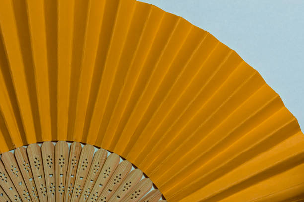 Orange of fan from a paper and tree on a white background