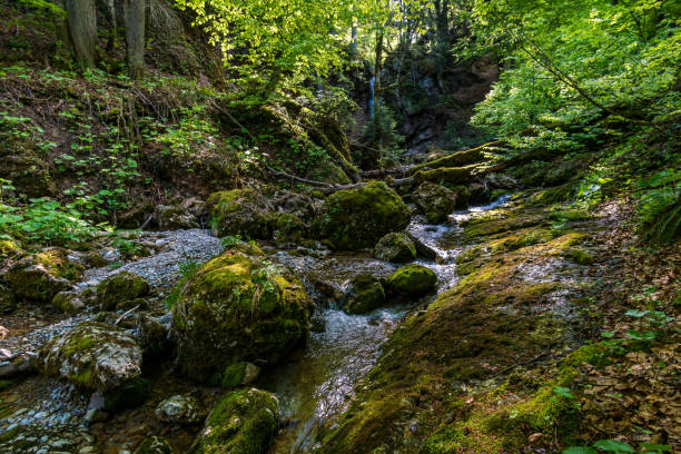 Nature reserve Aachtobel