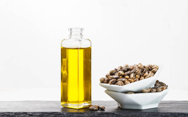 istock castor oil seeds isolated 1226800371