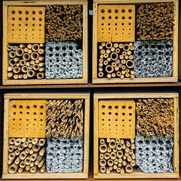 istock Insect hotel in a garden 1226804067