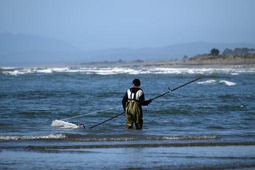 Hokitika, New Zealand, October 24, 2019:A man uses a scoop net for catching whitebait at the Hokitika beach on the West Coast of the South Island