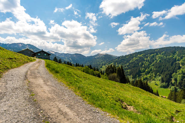 istock The beautiful Gunzesried valley 1226808147