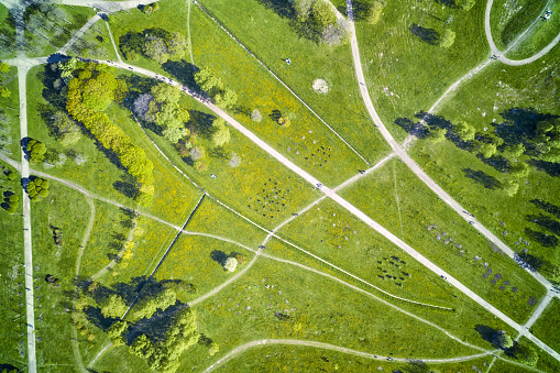 Pedestrian and bicycle paths in the green summer park. Top aerial view