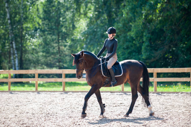 istock Young lady riding a horse at equestrian school. Training process 1226815001