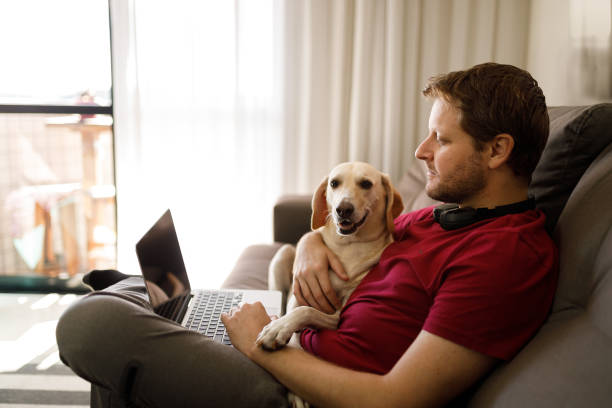 concentrated man working on the sofa with his dog on his lap - white dog audio imagens e fotografias de stock