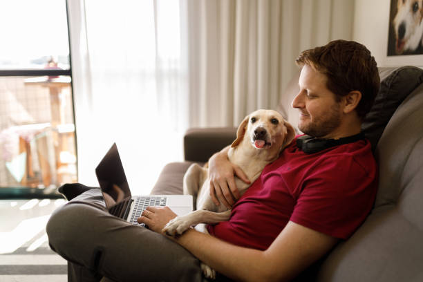 istock Man working on computer with his dogs showing off the tong 1226817354